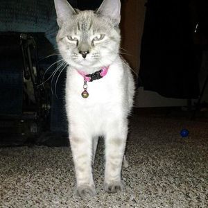 Meet your Posher, Kathy